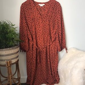 EUC polka dot midi dress